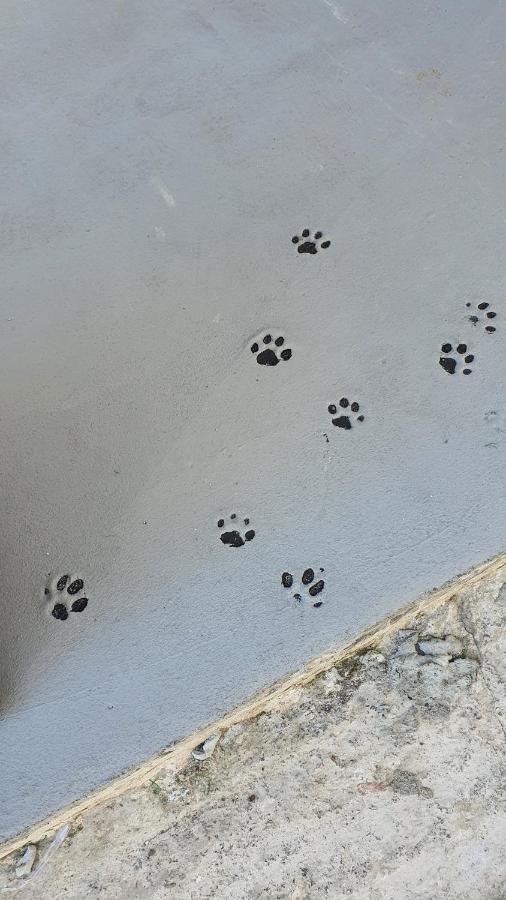 Larry'S Little Place In The Center Of Gytheio Exterior foto